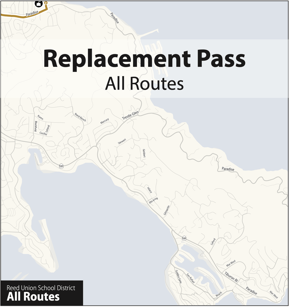 Replacement Pass